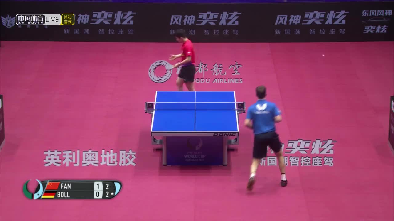 樊振东 vs 波尔 2019男子世界杯1/4决赛