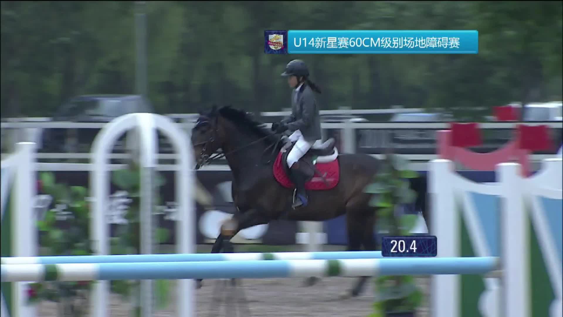 2019鸟巢之路第二站 hit-air U14新星赛 60CM 伯乐汇 蒋美仪 黑将
