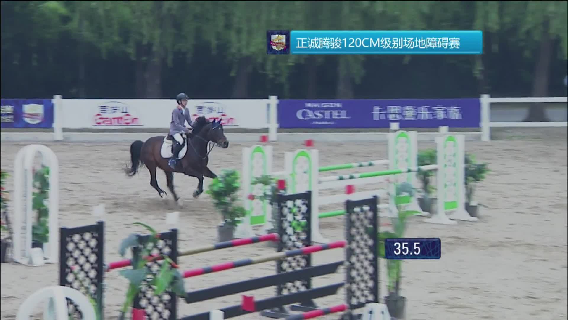 2019鸟巢之路第二站 正诚腾骏120CM-个人赛 沈阳东骏国际马术 潘世奇 巴鹿