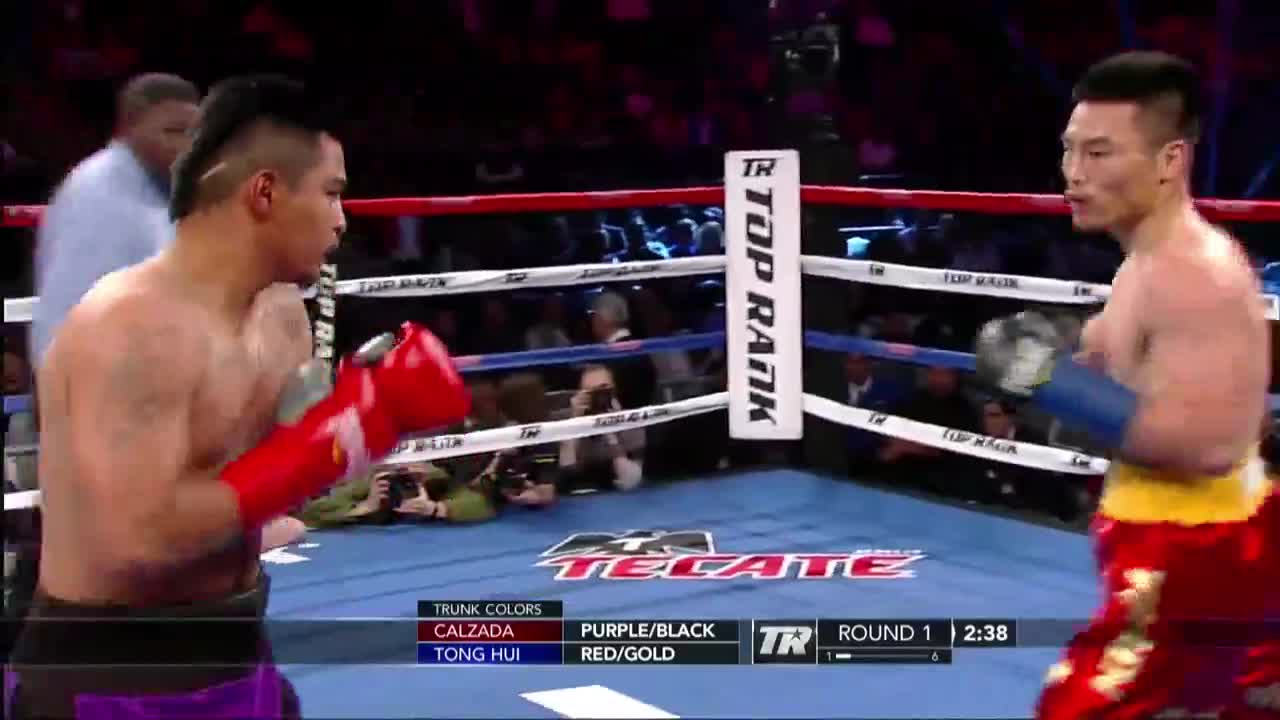 WBC/WBO世界拳王争霸赛：卡尔萨达vs李同辉