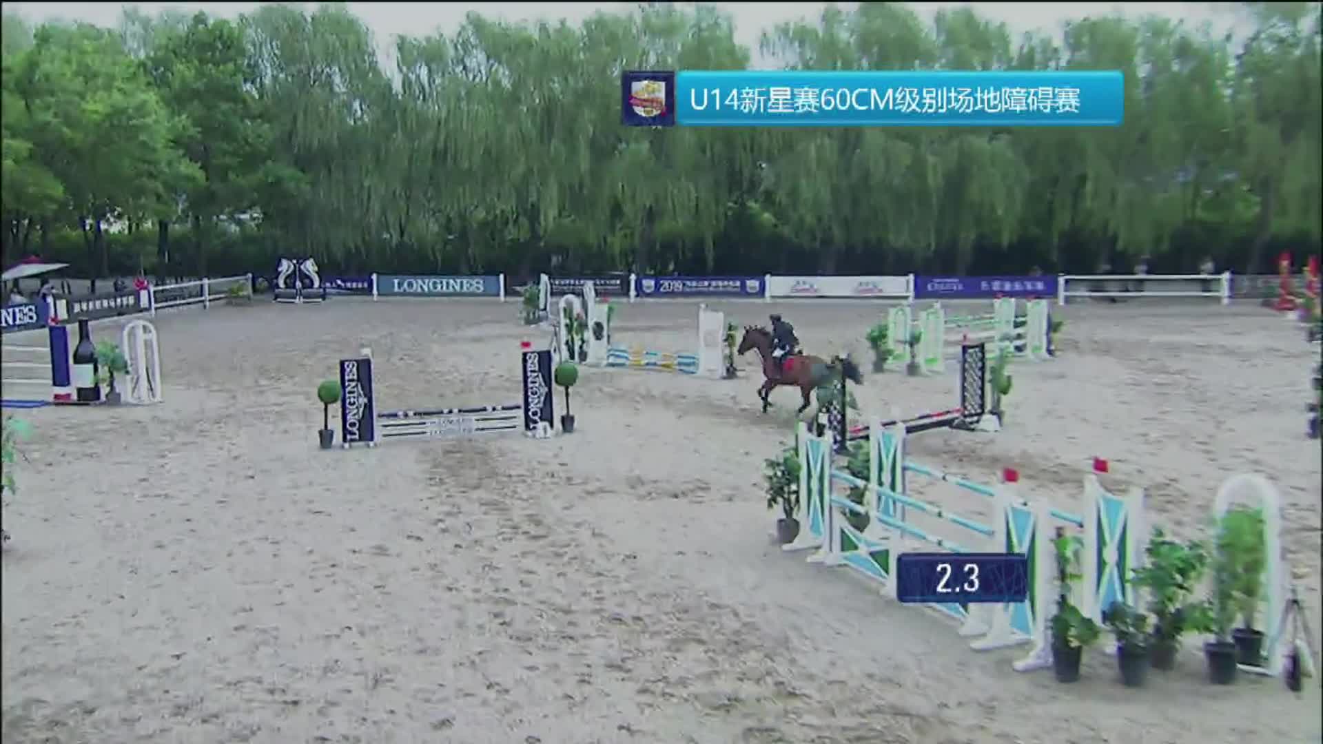 2019鸟巢之路第二站 hit-air U14新星赛 60CM 骑域国际青少年骑士院 魏希桐 番茄
