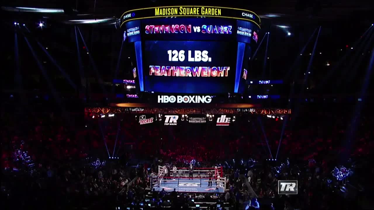 WBC/WBO世界拳王争霸赛：斯蒂芬森vs苏亚雷斯
