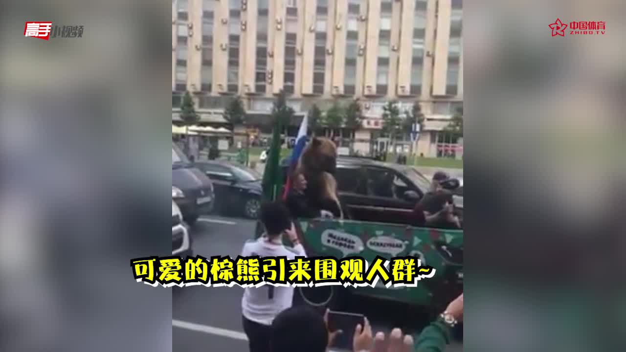 狗熊街头吹喇叭 内心:在俄罗斯命最重要！
