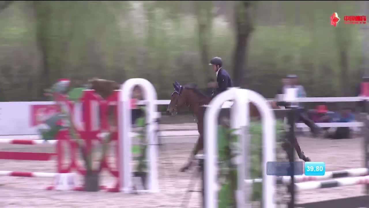 多美马术90CM级别 华农悦马马术 李永丰 安妮