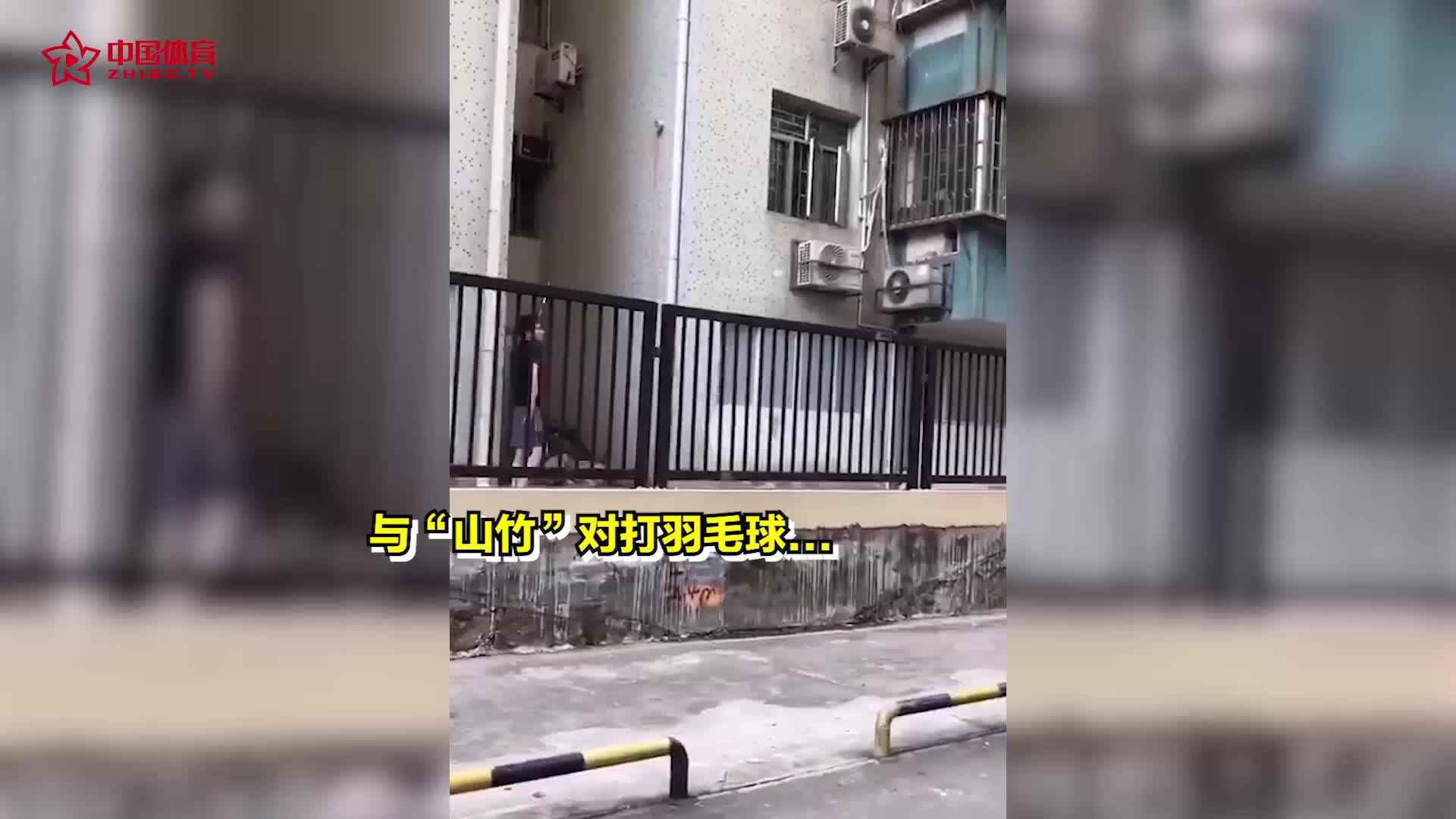 真会玩！台风“山竹”来袭 机智的网友们竟然跟“山竹
