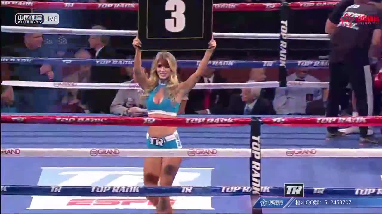 WBO轻量级世界拳王争霸赛：BELTRAN vs MOSES