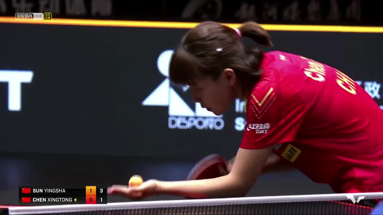 孙颖莎 vs 陈幸同 WTT澳门国际乒乓球赛女单决赛