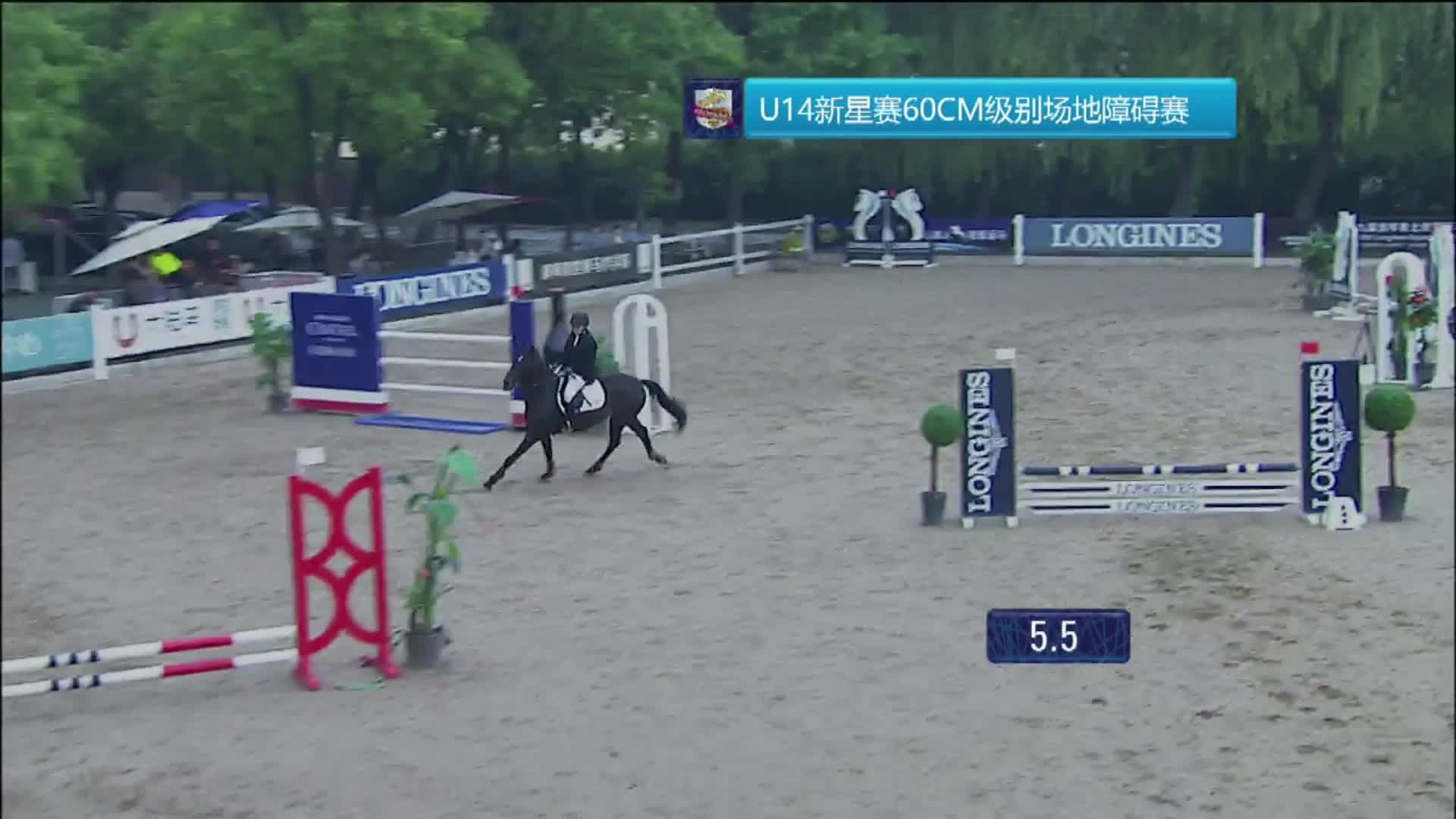 2019鸟巢之路第二站 hit-air U14新星赛 60CM 威海天馨马术 谷道通 公爵