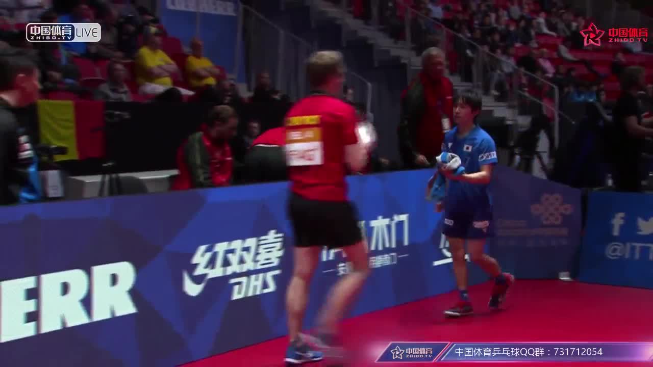 日本vs比利时 2018世乒赛男团小组赛