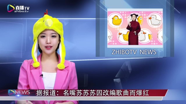 苏苏苏的个人电视台