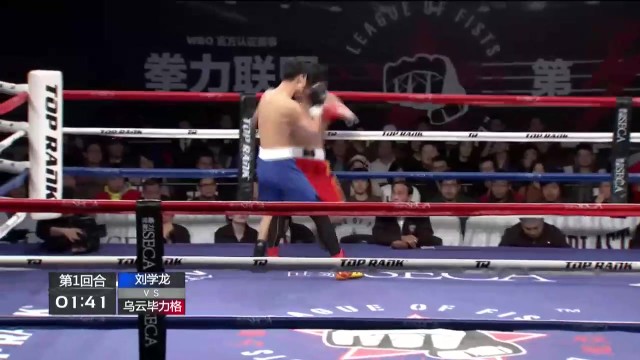 刘学龙vs乌云毕力格