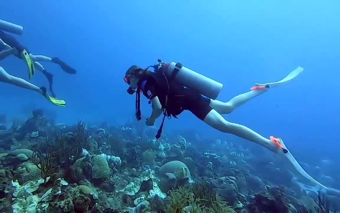 范弗勒滕假期尝试潜水