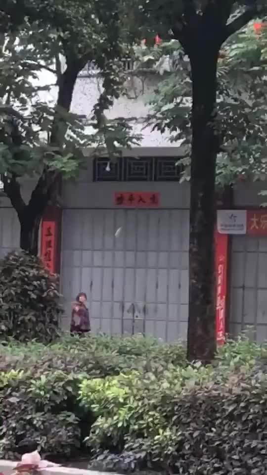 这是有孤单才会一个人打羽毛球