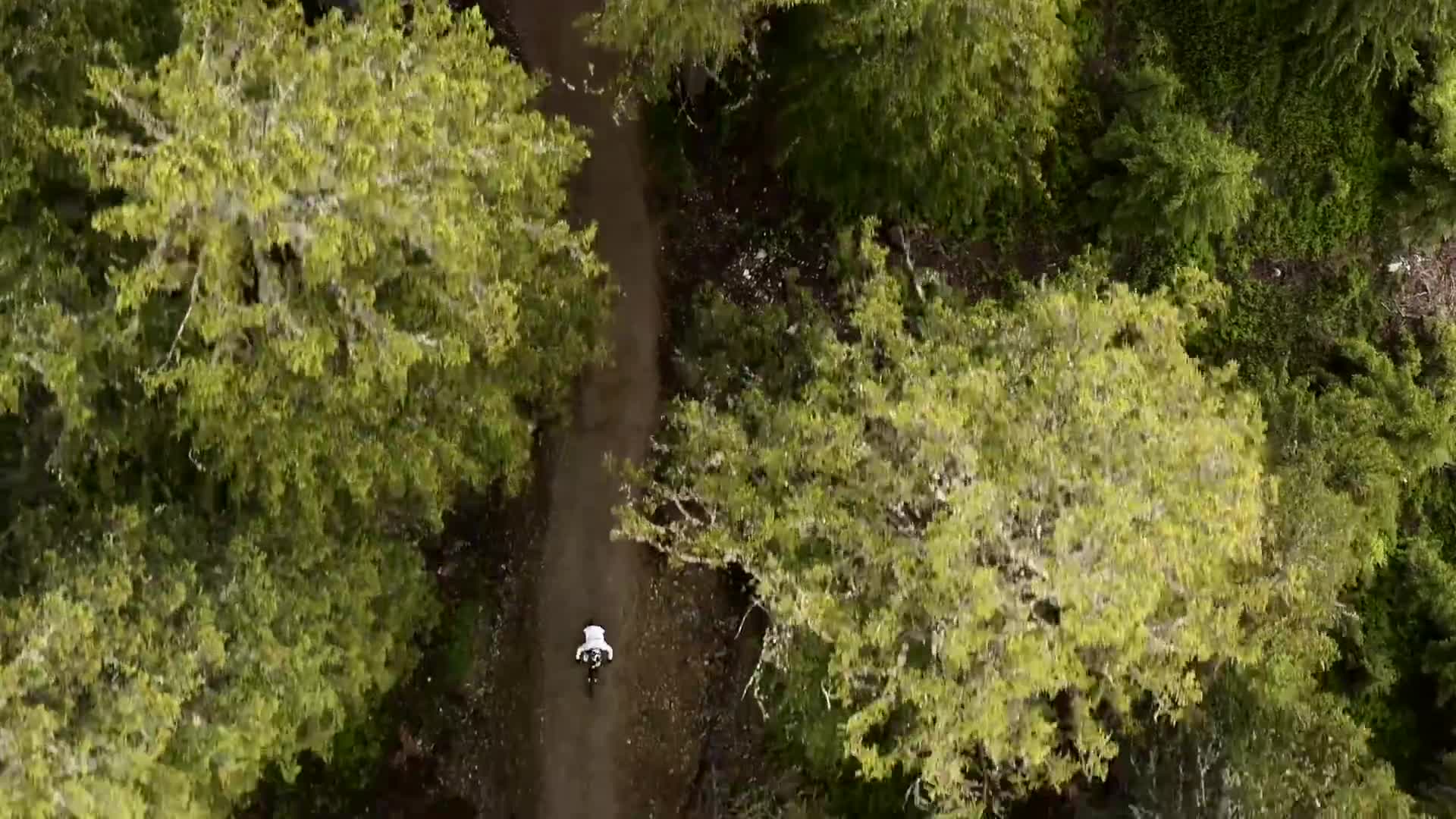 有个技术这么好的女车友一起骑车 是不是所有男车友的梦想