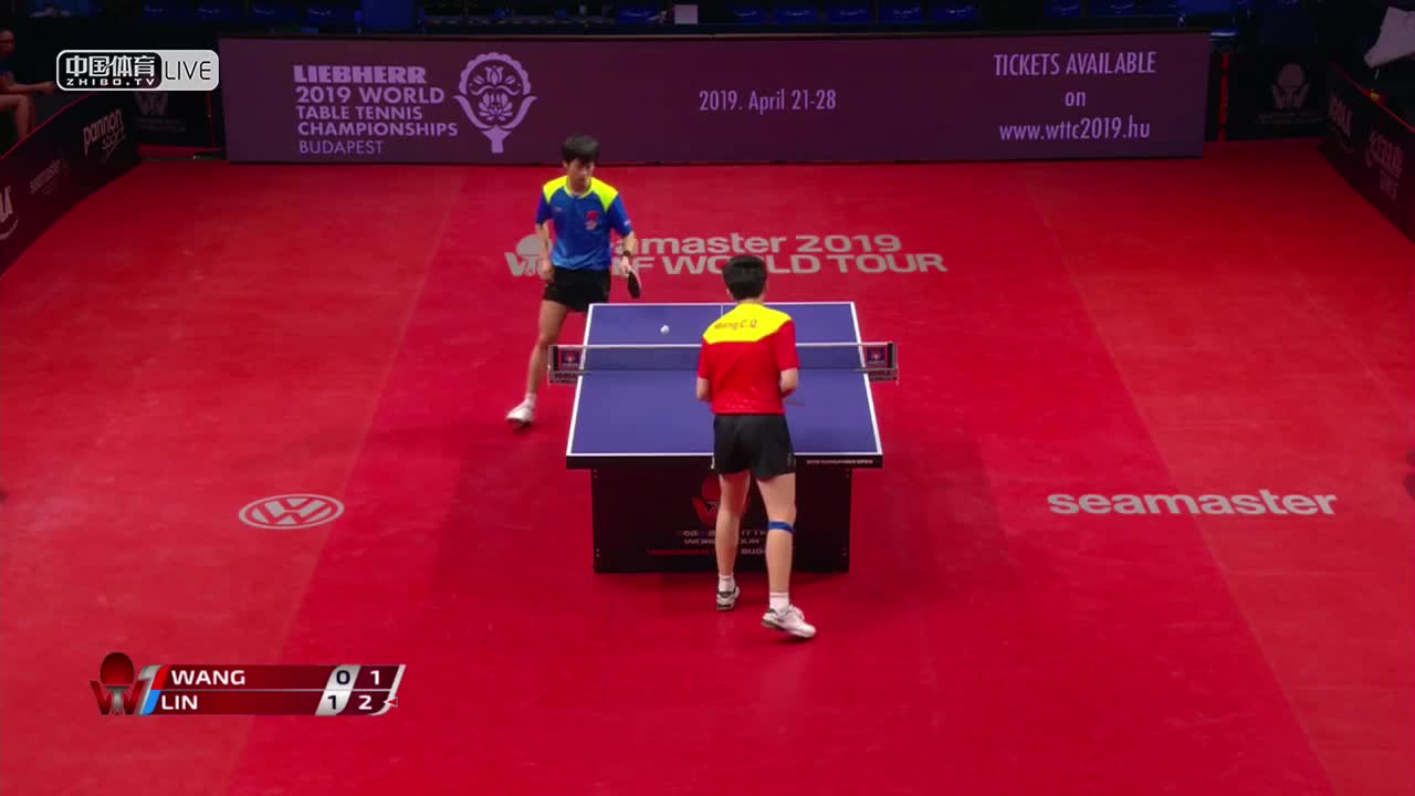 王楚钦 CHN vs 林高远 CHN 2019匈牙利公开赛男单决赛