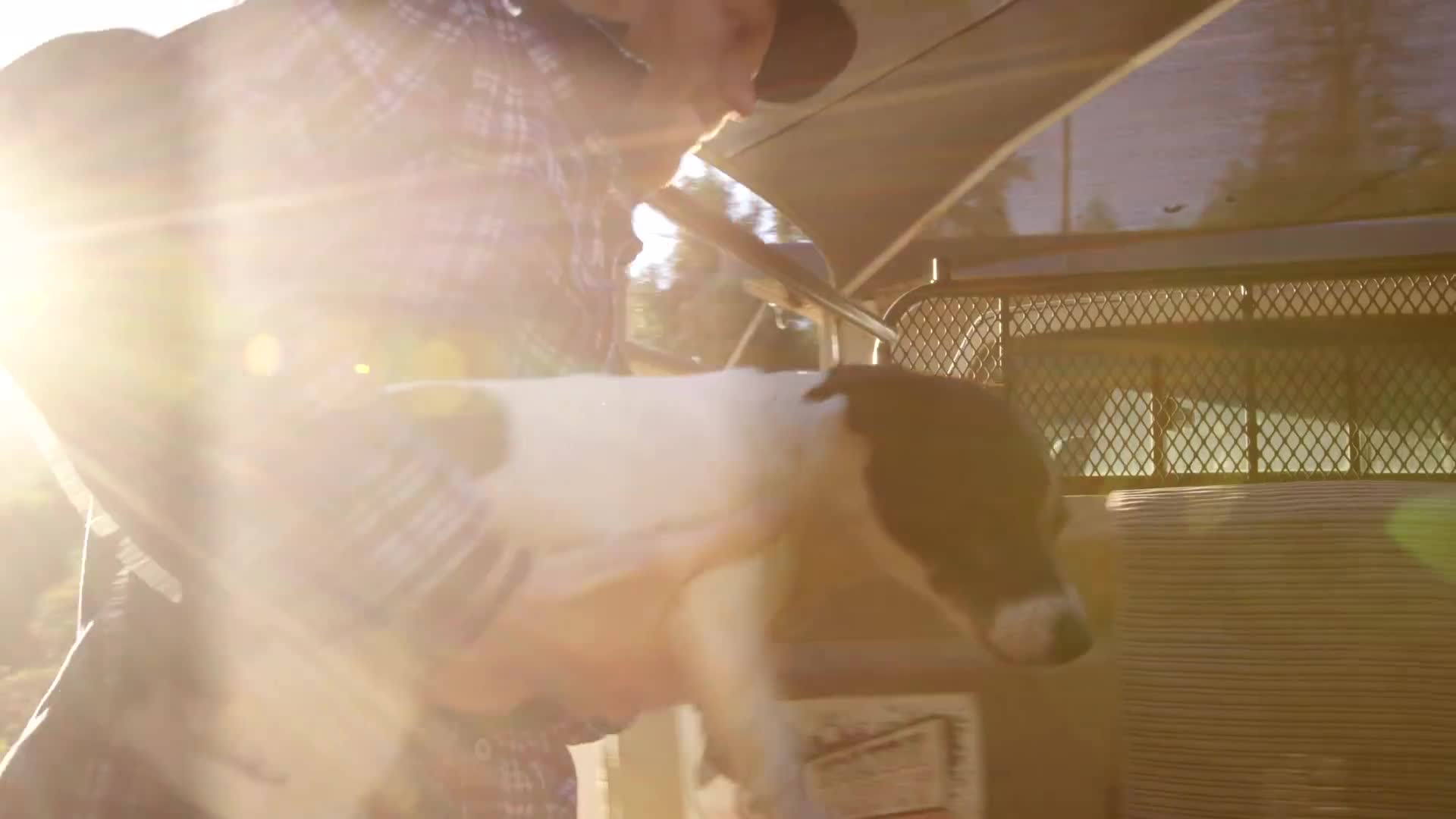 一只狗的历险——看狗狗和山地车能摩擦出怎样的火花