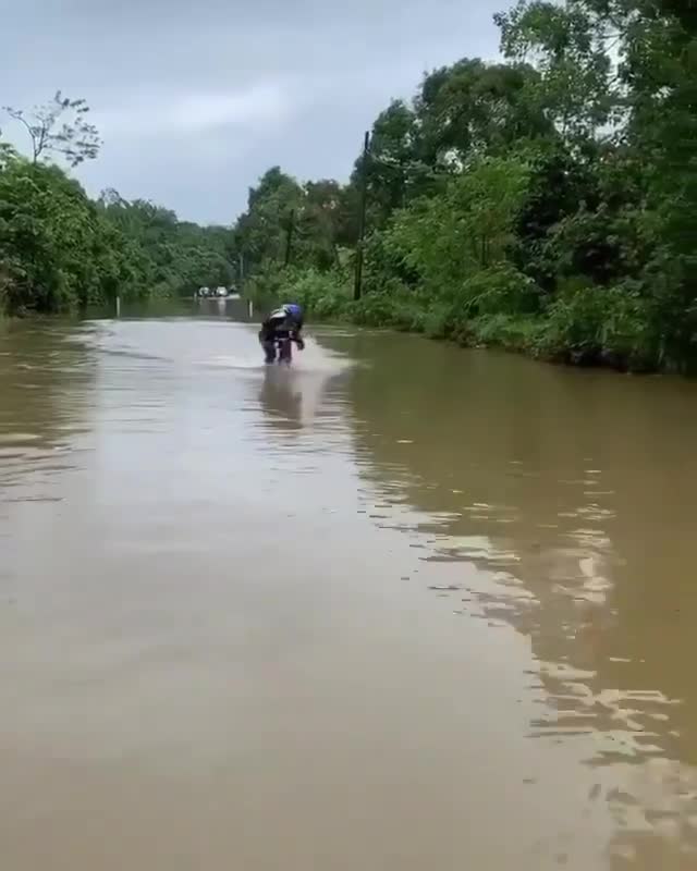 在水里照样摇起来！