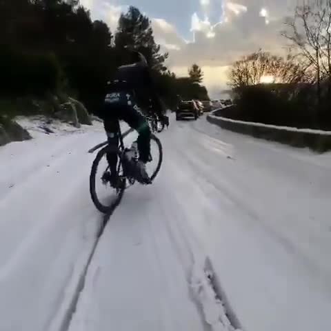 抓到一只雪地里撒欢的傻甘