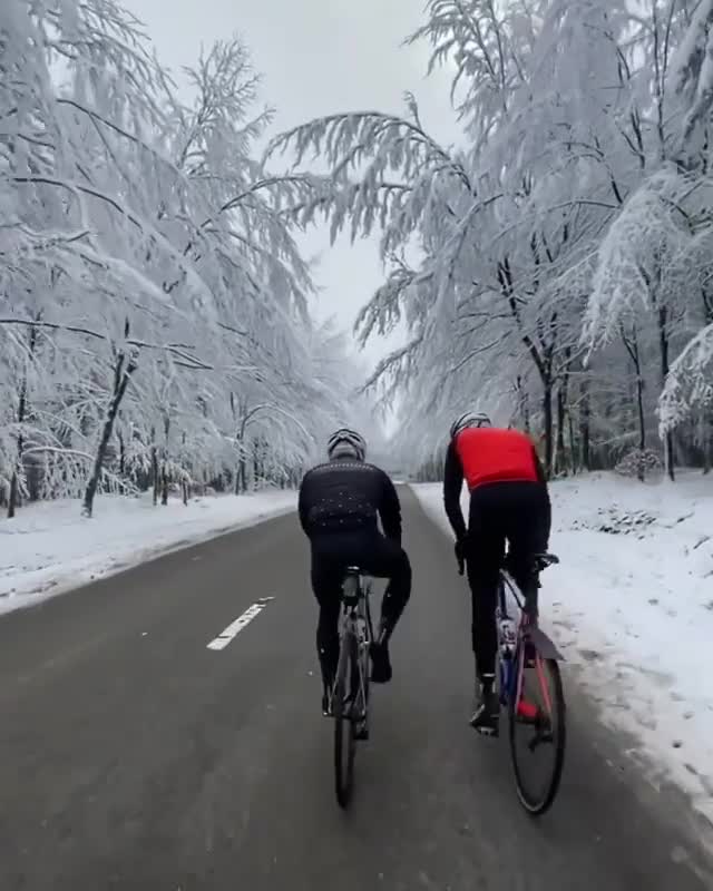 意大利变身冰雪王国 骑士在林道间骑行