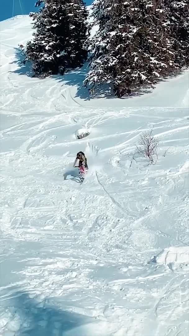 或许你想没想过 给你的自行车装上滑雪板？