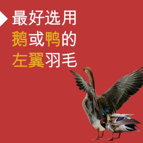 羽毛球是最快的球拍类运动  你知道最快的杀球时速是多少吗？