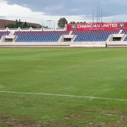 八月也要努力训练！来看看奥运冠军陈雨菲怎么训练体能