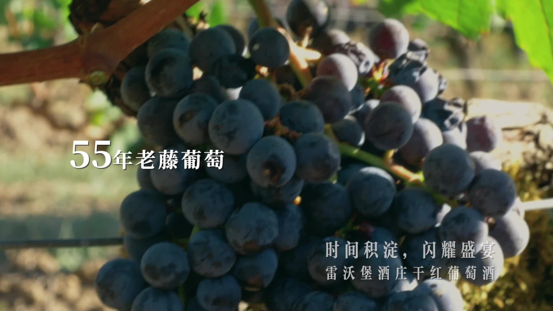 时间沉淀闪耀盛宴 中粮雷沃堡广告