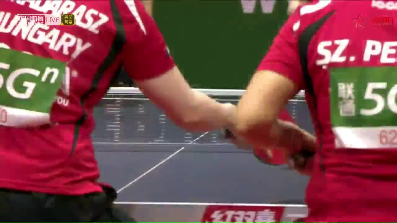 孙颖莎/王曼昱 CHN vs 马达拉兹/桑德拉-佩格尔 HUN 2019世乒赛 女双1/8决赛