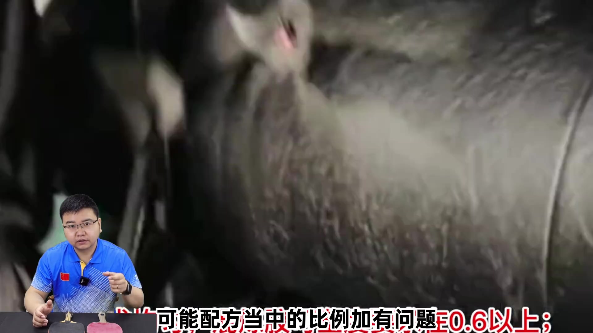 《乒乓球器材常识》胶皮发白氧化是质量问题？如何正确保养胶皮？