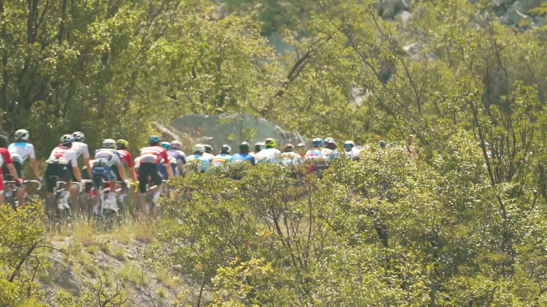 2021公路车欧锦赛第五日快速回顾 科尔布雷利夺冠