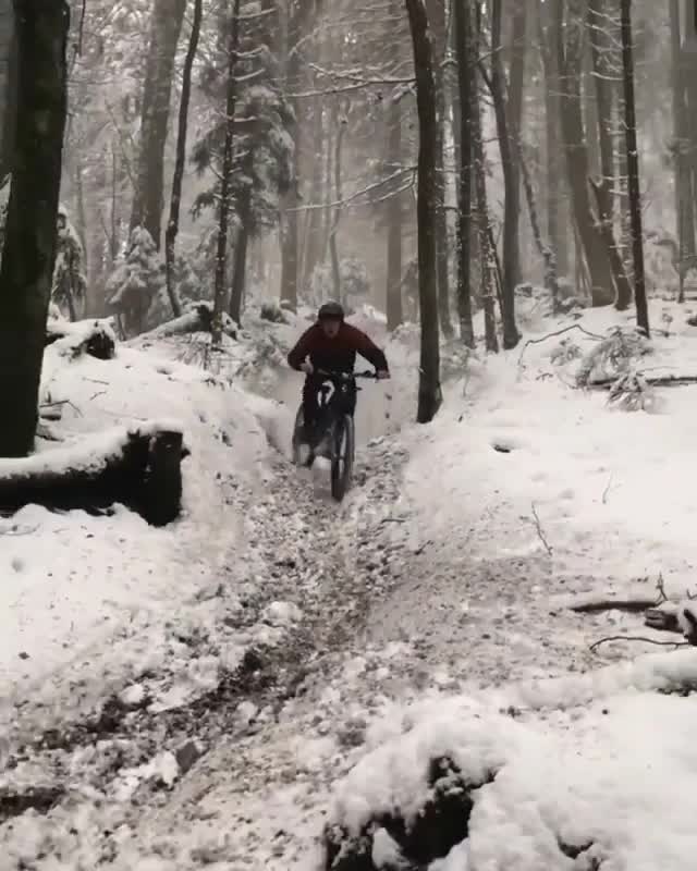 山地大神一系列操作行云流水，雪地和林地好像没啥区别