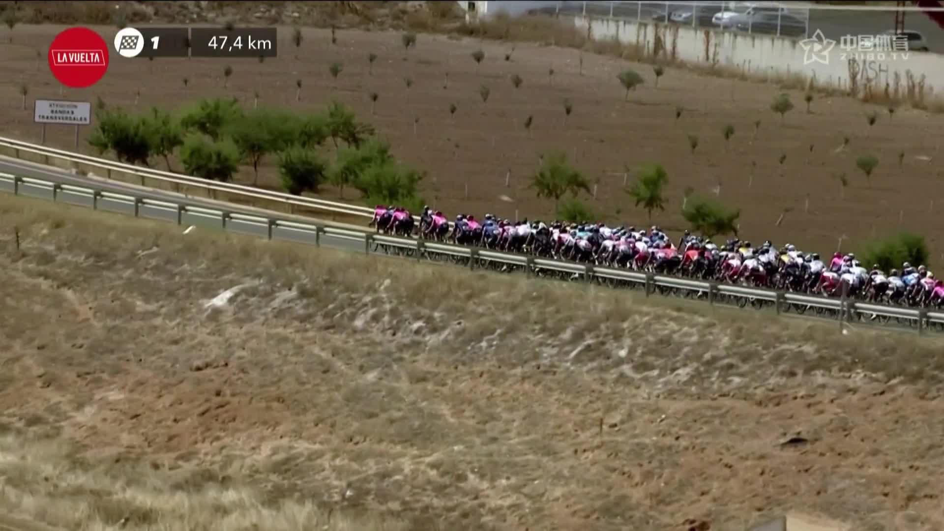 2021环西S5 | 整齐划一的葡萄地 治愈你的强迫症