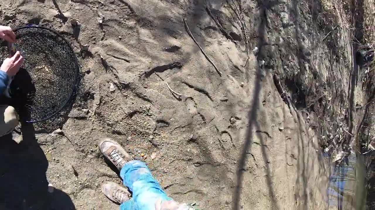 小溪流也能找到大鱼