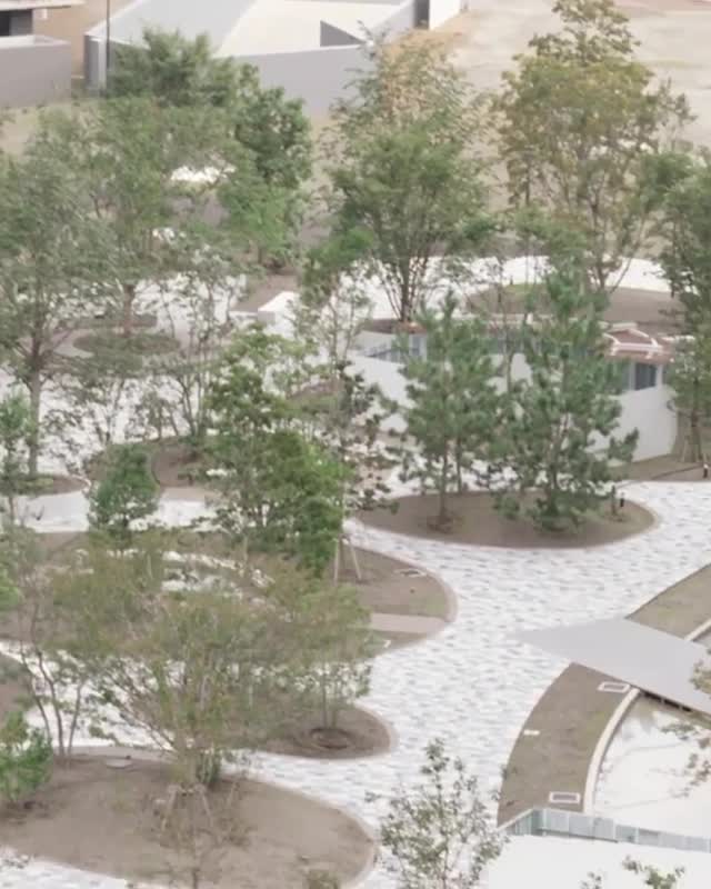 东京奥运会奥运村大揭秘 看看运动员的宿舍是啥样